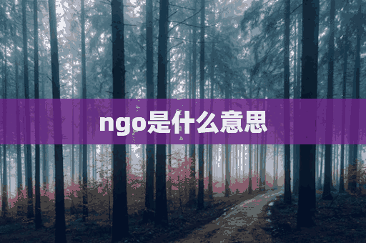 ngo是什么意思(ngo是什么意思的缩写)